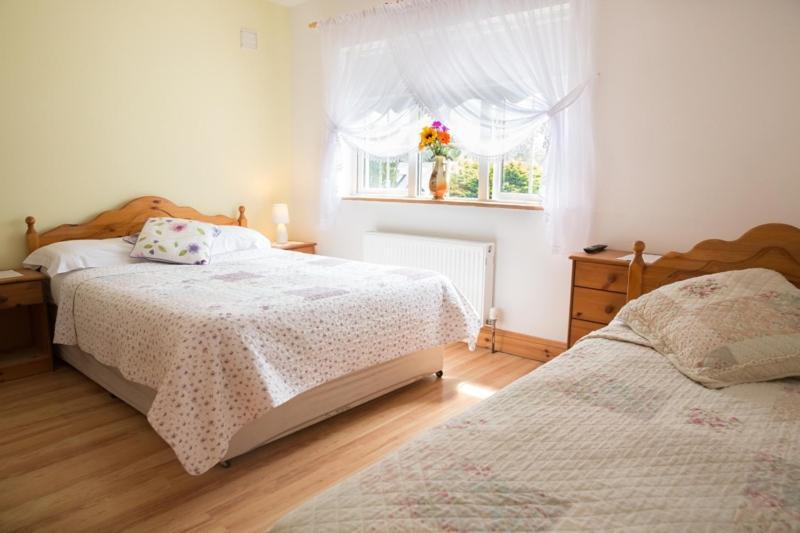 Shannon Breeze B&B Killaloe Dış mekan fotoğraf