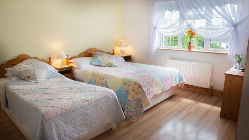 Shannon Breeze B&B Killaloe Dış mekan fotoğraf