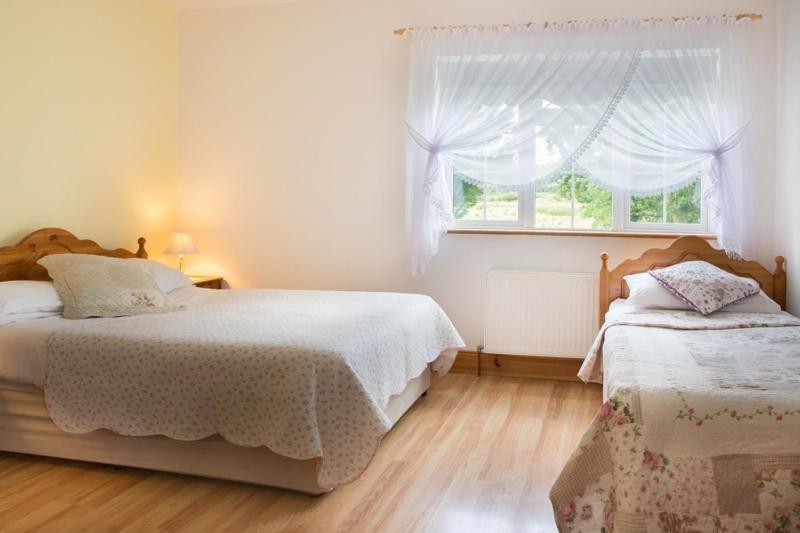 Shannon Breeze B&B Killaloe Dış mekan fotoğraf