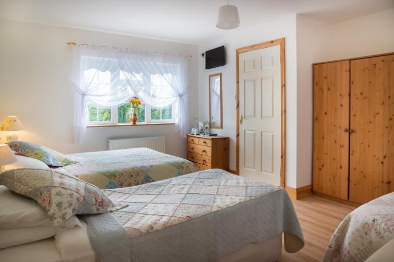 Shannon Breeze B&B Killaloe Dış mekan fotoğraf