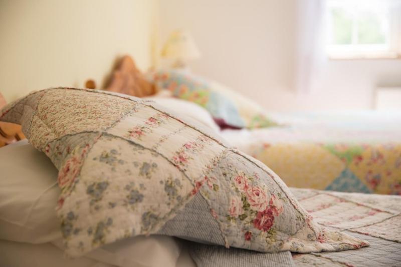 Shannon Breeze B&B Killaloe Dış mekan fotoğraf
