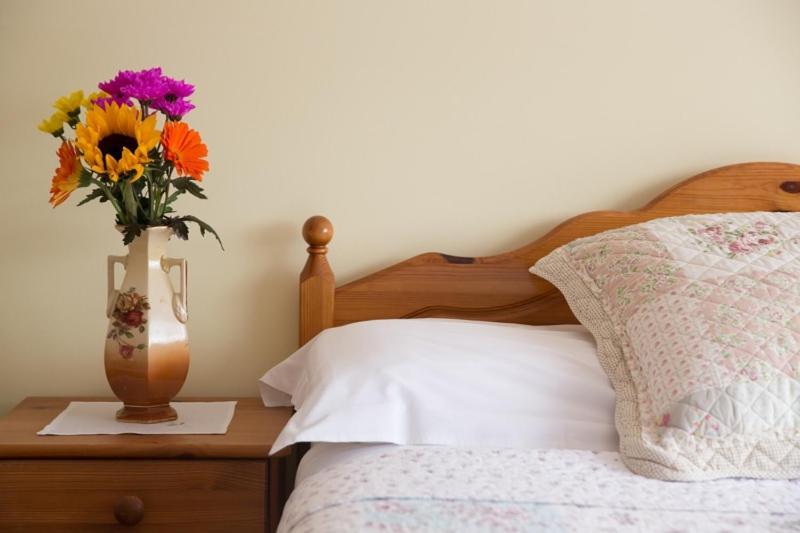 Shannon Breeze B&B Killaloe Dış mekan fotoğraf