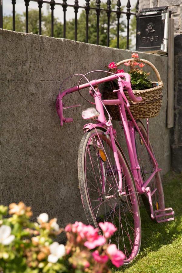 Shannon Breeze B&B Killaloe Dış mekan fotoğraf