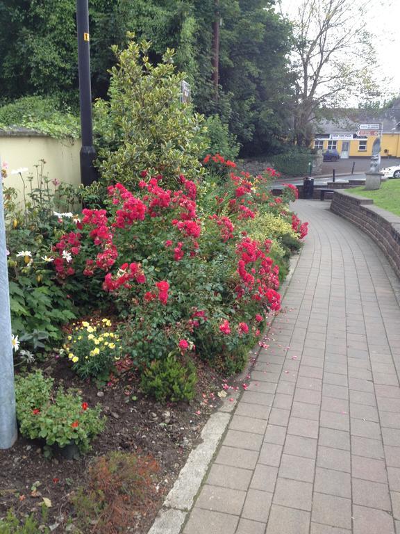 Shannon Breeze B&B Killaloe Dış mekan fotoğraf