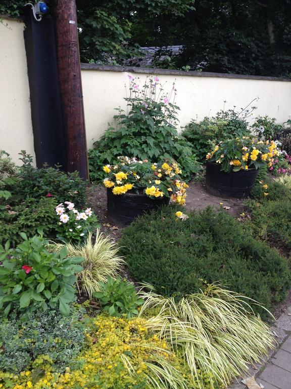 Shannon Breeze B&B Killaloe Dış mekan fotoğraf