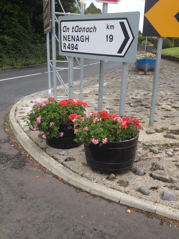 Shannon Breeze B&B Killaloe Dış mekan fotoğraf