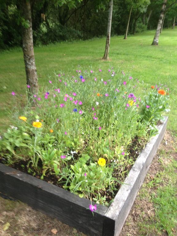 Shannon Breeze B&B Killaloe Dış mekan fotoğraf